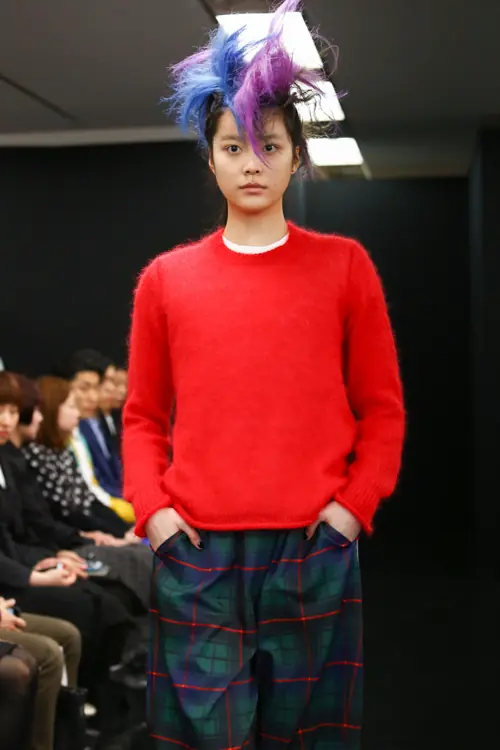 トリコ・コムデギャルソン 2013年秋冬 LOOK 18 / VIEW 2